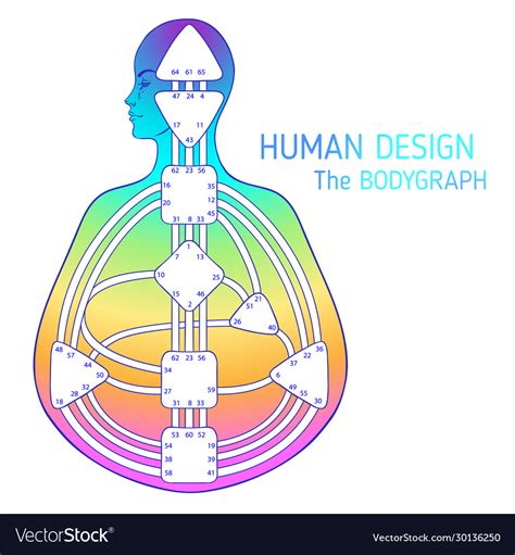 人類圖合盤免費|6個「更有料到」的 Human Design BodyGraph 網站